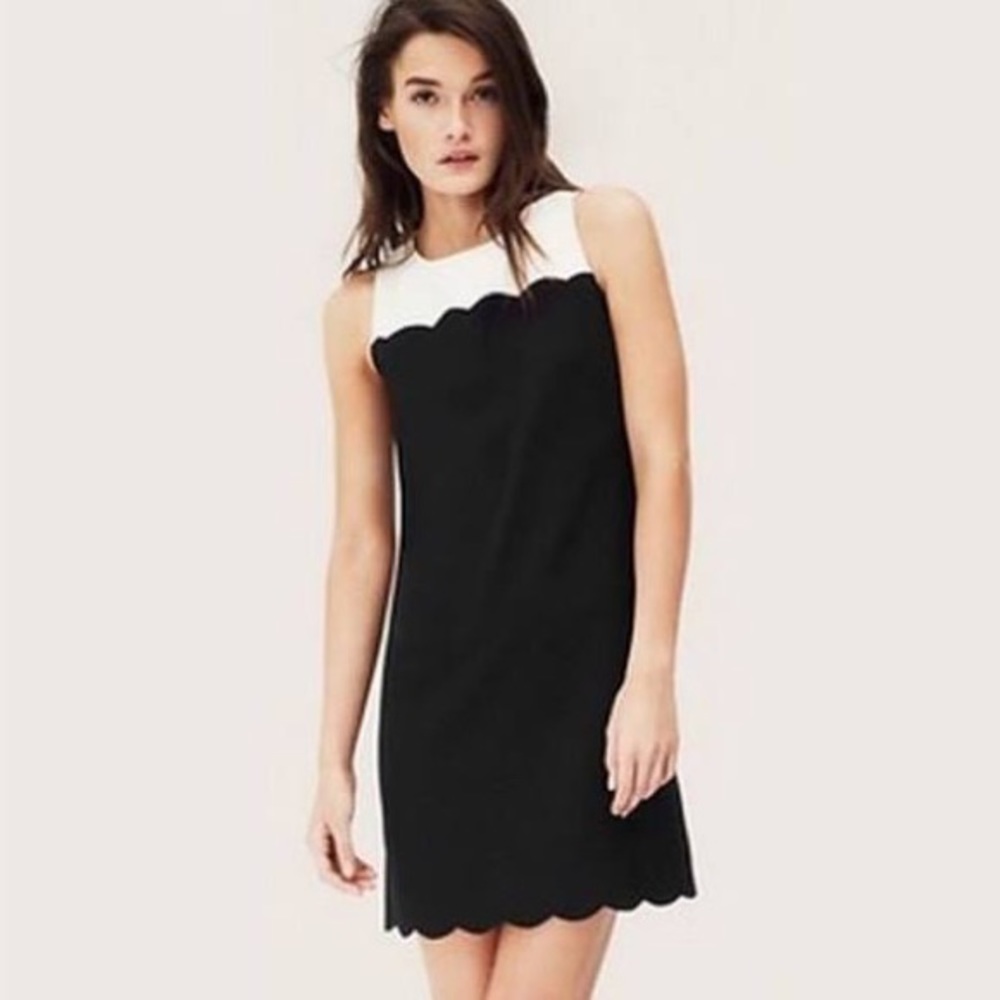 LOFT Petite Scalloped Color-block Shift Dress
